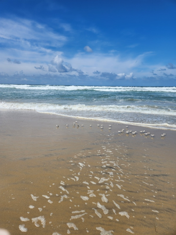 Photo - 718 Coronado Ct