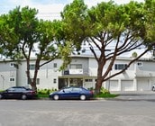 Primary Photo - The Hidden Gem