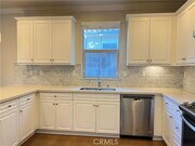 Photo - 183 Bright Poppy