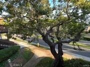 Photo - 8531 Meadow Brook Ave Unit 203