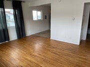 lots of light - 2611 Mathews Ave Unit 5