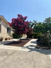Beautiful grounds - 1611 S Atlantic Blvd House