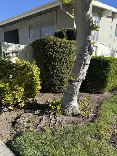 Photo - 263 Calle Aragon