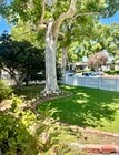 Photo - 1808 N Edison Blvd