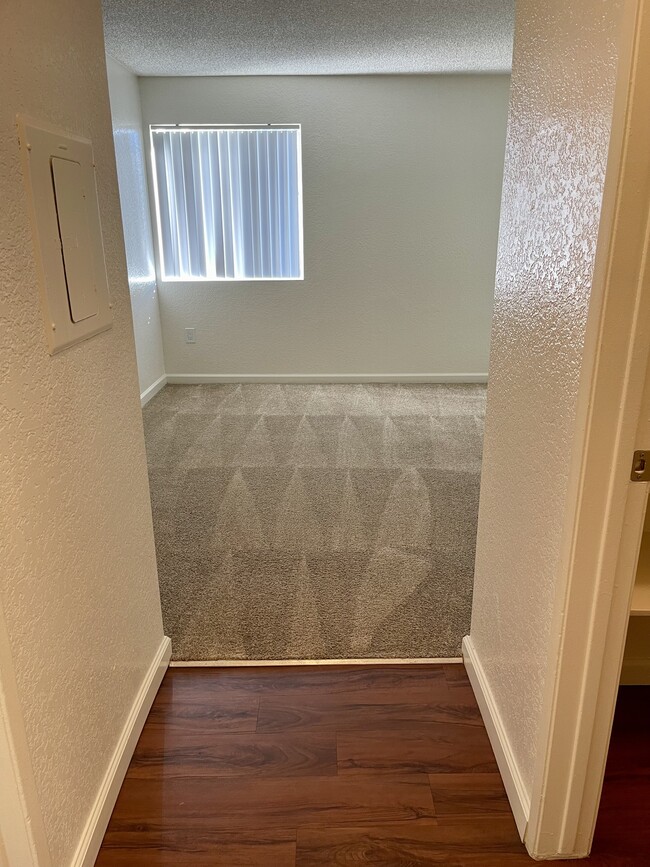 Photo - Camino Colony