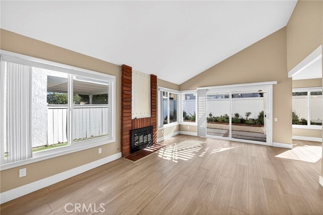 Photo - 3 Silver Fir