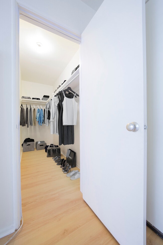 Studio Staged Walk-In Closet - Brent Manor