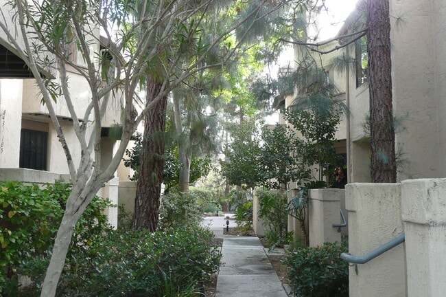 Photo - 8437 Via Mallorca