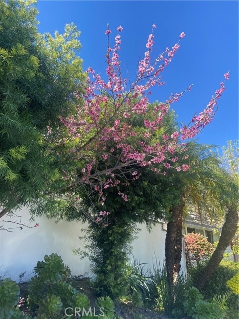 Photo - 17041 Escalon Dr