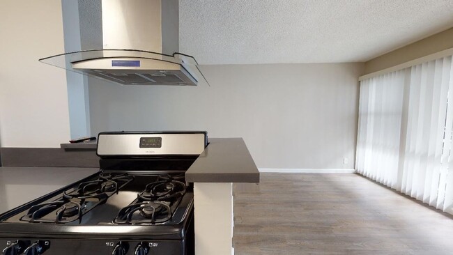 Photo - The DLP Hollywood