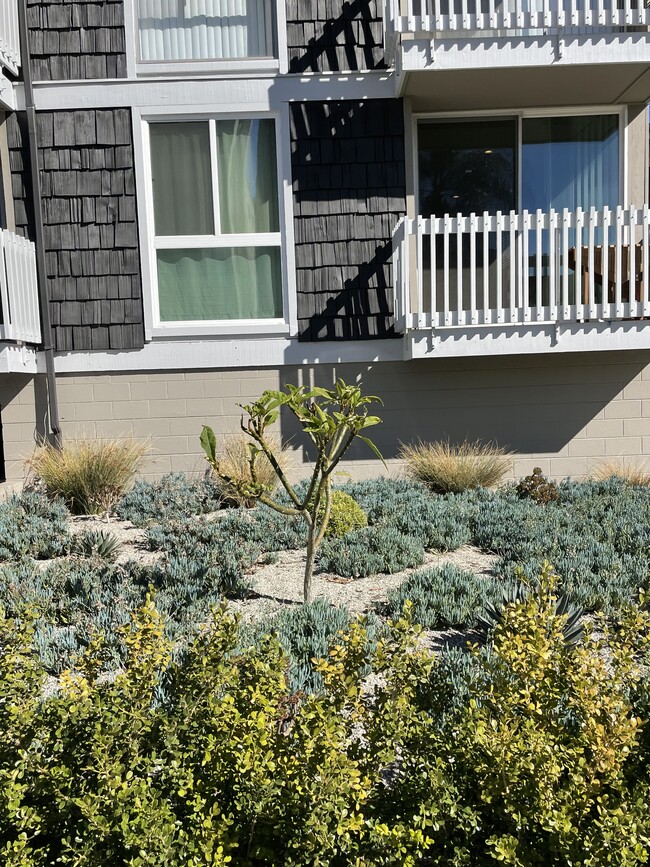 Photo - 3750 Jasmine Ave