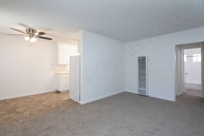 Photo - Charming 1 Br Near Sunset Cliffs with Parking Unit 01
