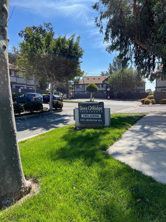 Dove Ridge Apartments - Dove Ridge Apartments
