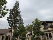 Photo - 1419 Poseidon
