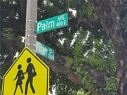 Photo - 476 E Palm Ave Unit c