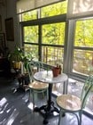 lots of natural light - 1010 Sycamore Ave