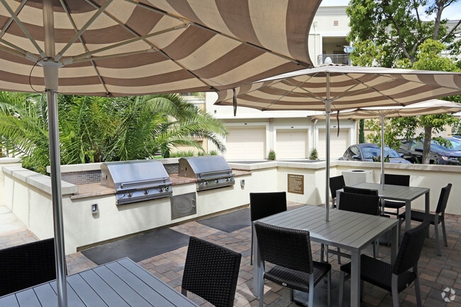 Photo - Anton Legacy