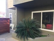 Photo - 5706 Fair Ave Condo Unit 116