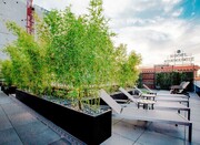 Photo - The Abbey Apartments
