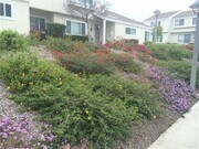Photo - 1063 Cyn Spg Ln