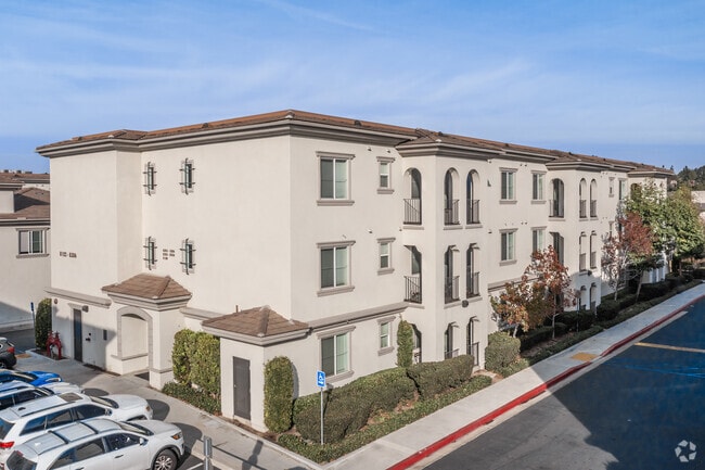 Placita Luxe - Placita Luxe