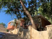 Photo - 10458 Pearson Pl
