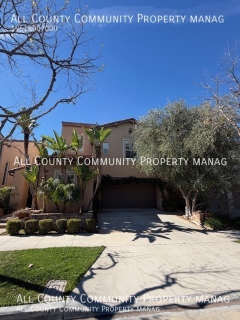 Photo - 70 Loganberry-