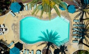 Pool - The Heights at Chino Hills