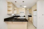 Photo - 1529 E Elizabeth St Townhome