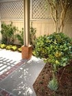 Photo - 6863 Alderwood Dr