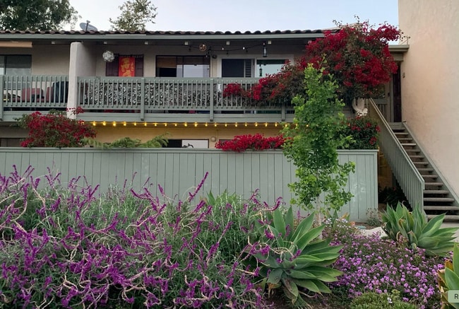Building Photo - Charming 1 Bedroom, 1 Bathroom Unit in a S...