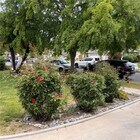 Photo - 6629 Melba Ave House