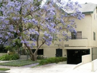 Building Front - 11244 Morrison Ave Unit Apt 3- 2nd floor