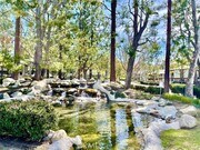 Photo - 20702 El Toro Rd Unit 394