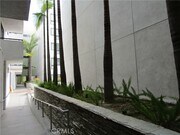 Photo - 1234 Wilshire Blvd Unit 509