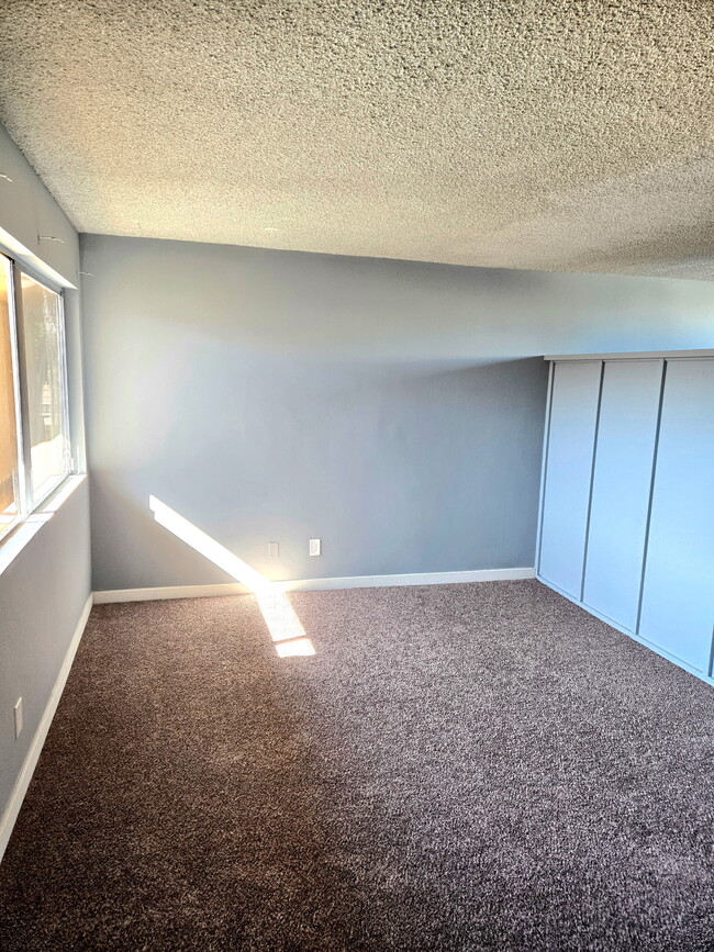 Living Room - Junior - Cameo Somerset Apartments