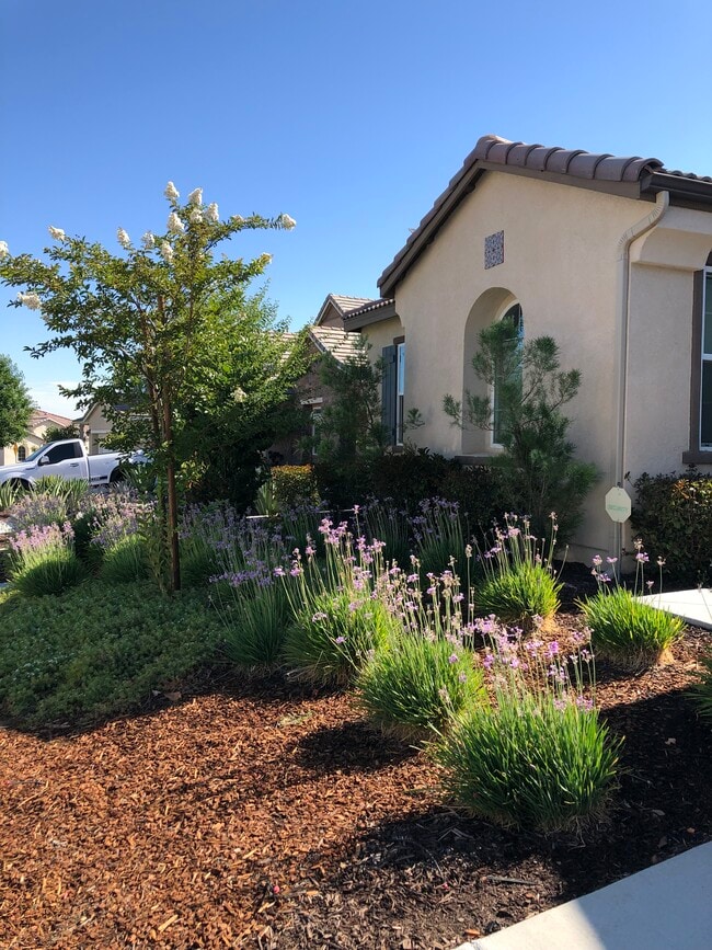 Front yard - 30426 Cowboy Ln