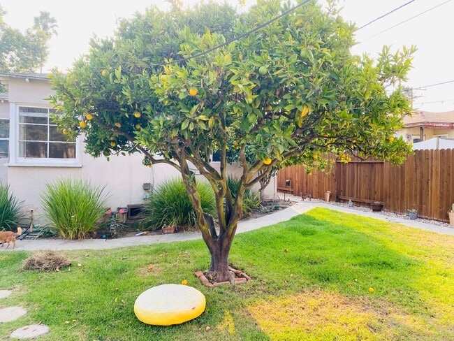 Photo - 2127 20th St Unit A