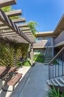 Photo - Elan Beachlofts