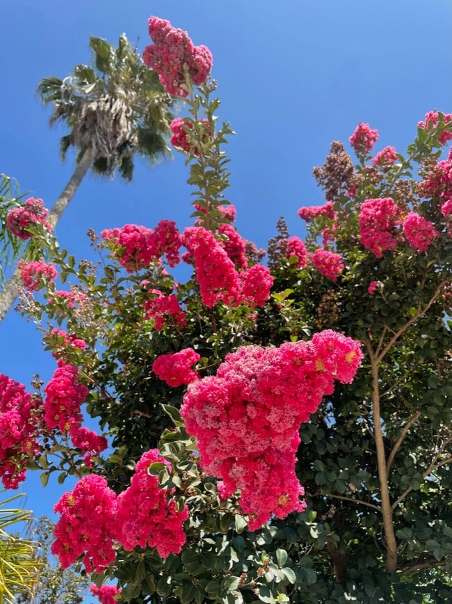 Photo - 1226 S Highland Ave Unit 1226 S. Highland ave