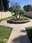 Photo - Palm Gardens 2017, LLC