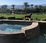 jacuzzi and sixth tee box - 43347 Via Orvieto House