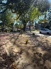 Photo - 4445 4th St