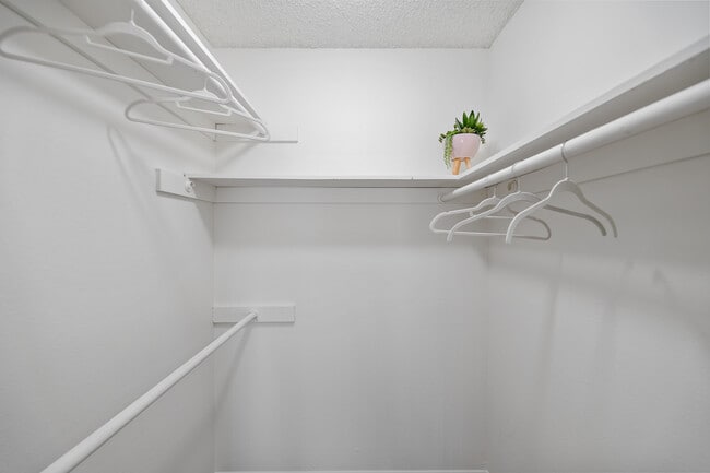 Photo - Cypress Point