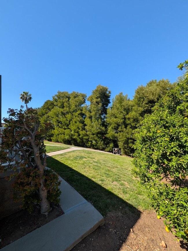 Photo - PC - 6673-6675 Amherst Unit 6675