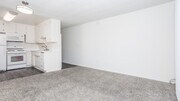 Studio 465-520 SF - Mitchell Arms