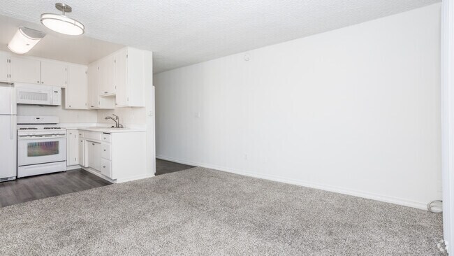 Studio 465-520 SF - Mitchell Arms