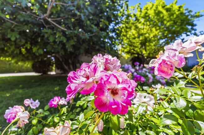 Photo - 23020 Haynes St