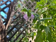 Photo - 23321 Ida Pl