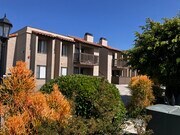 Photo - The Vine Apartments